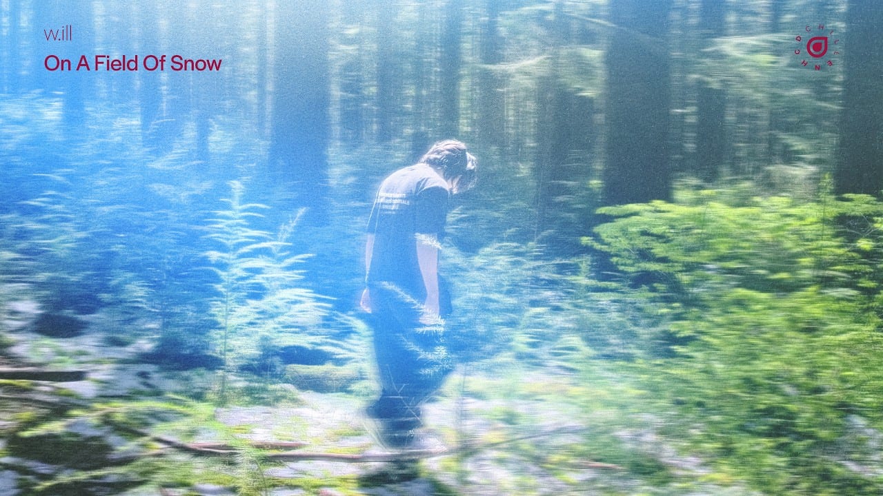 w.ill On A Field Of Snow (Mix) cover