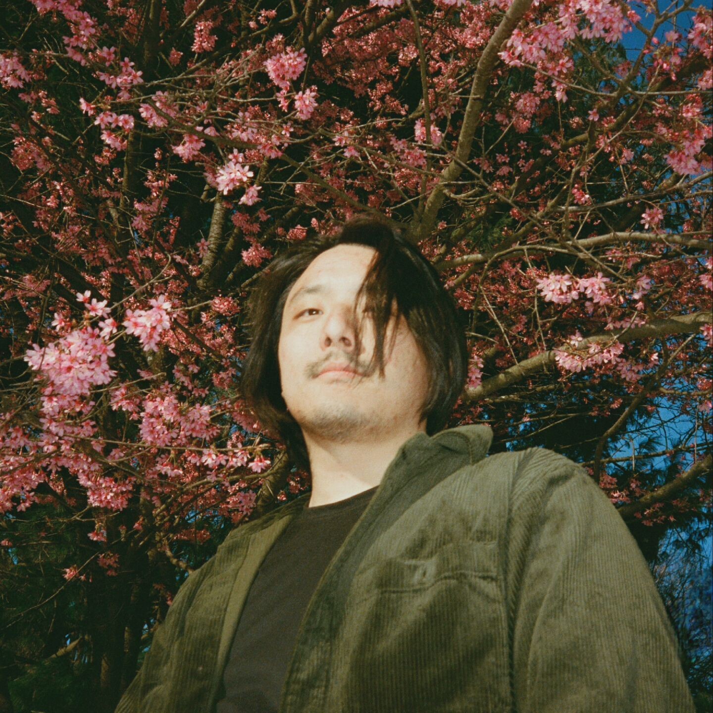 w.ill floral press image