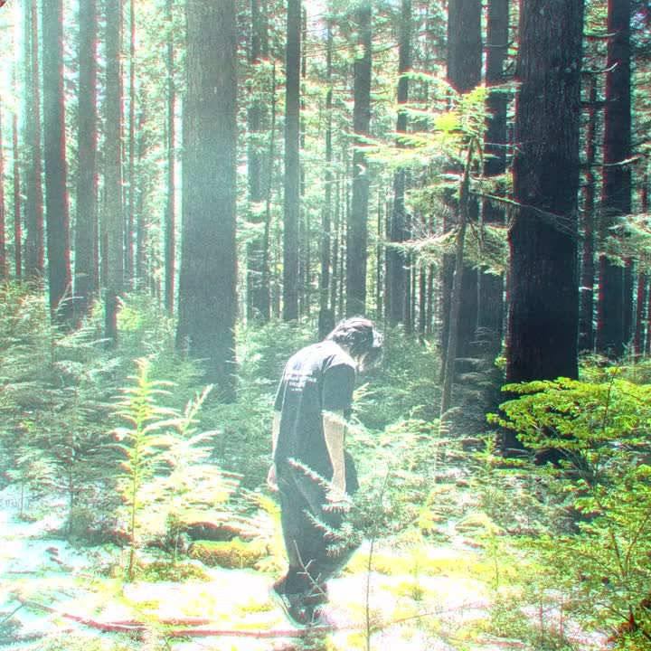w.ill walking through a snow-covered forest